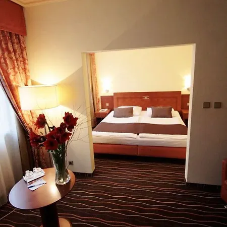 Hotel Luxury Family Bílá Labuť Praha