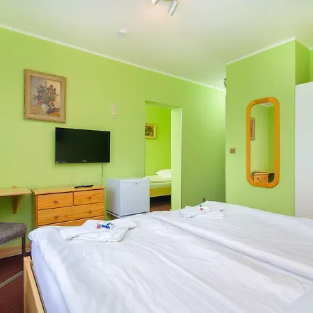 Max Hotel 3*