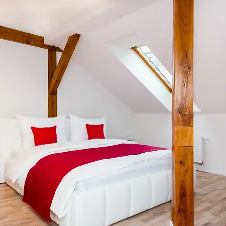 Apartment Opletalova Prague