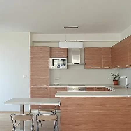 Bright Spacious Apartment