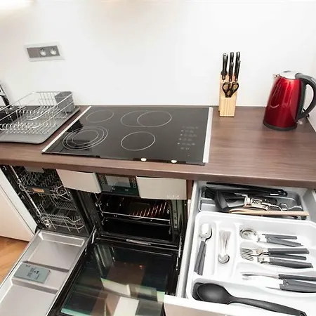 Apartment Spacious Designer