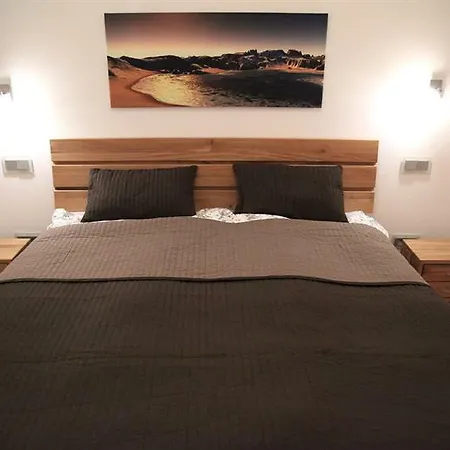Spacious Designer Apartment