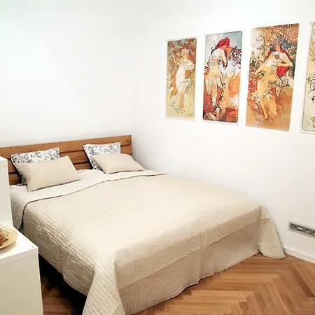 Apartment Spacious Designer
