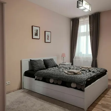 For 10 Guests Center Of *