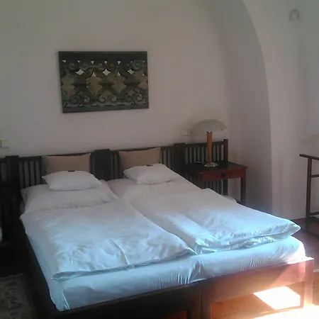 Domus Henrici Otel