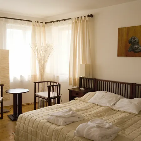 Domus Henrici Otel 4*