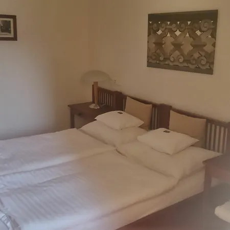Domus Henrici Hotel Praha