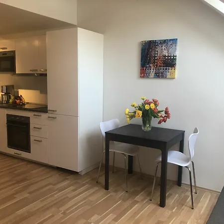 Apartment On The Prague