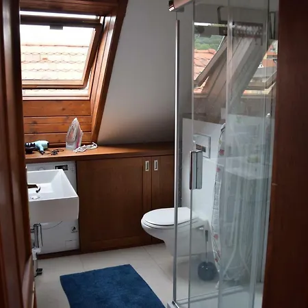 Mala Strana Apartment Prague