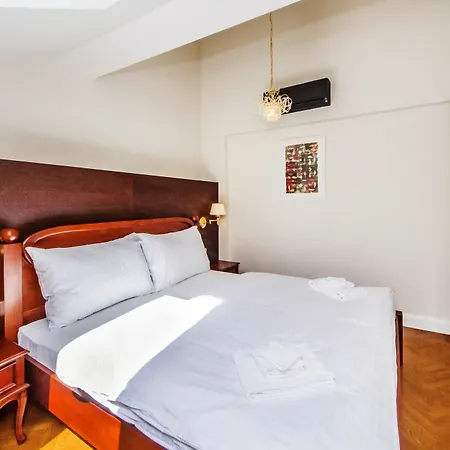 Apartment Manesova No.5