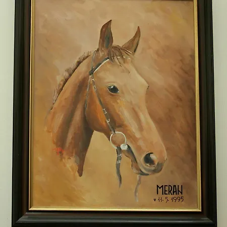 Meran
