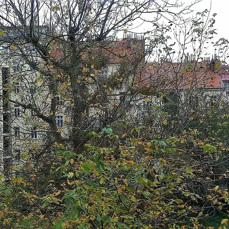 Apartment Niko 2 *