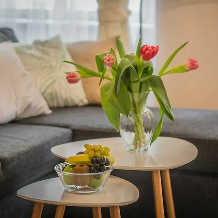 Rybna 2 Apartment