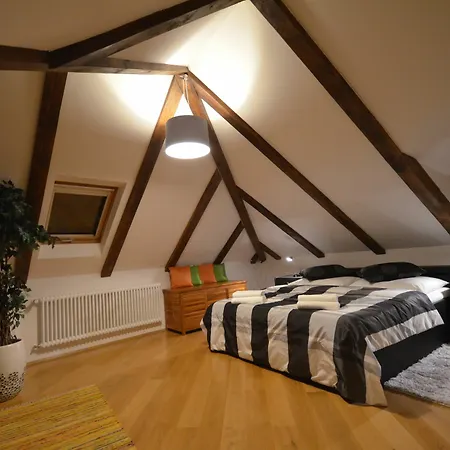 Attic Hroznova - Charles Bridge Apartment *