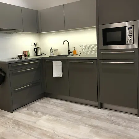 Slavikova Apartment