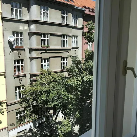 Apartment Slavikova *