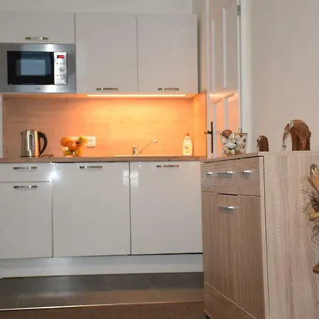 Apartment Palackeho Prague