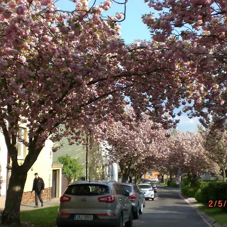 Kalik Pensionat 2*