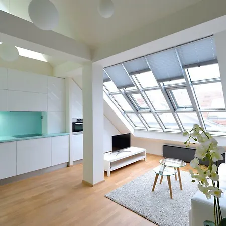 Designer Loft 2 Apartment *