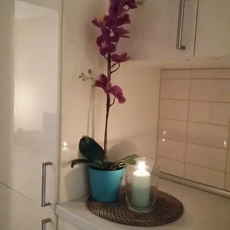 Apartment Angel Nr 4 Near To The Center
