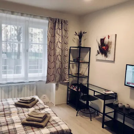 Luxury Apartment