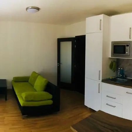Apartment Waltrovka