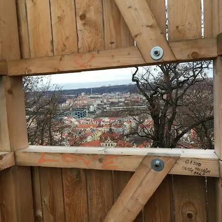 Apartment Kalisnicka *