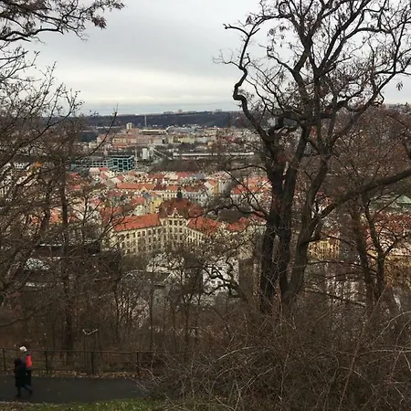Kalisnicka
