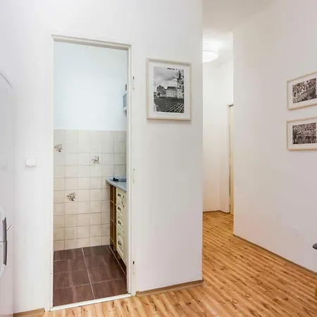 Apartament In Charles Bridge 1km By Michal&friends