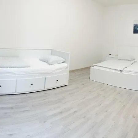Delnicka 61 Apartman * Prague