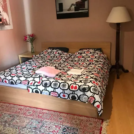 Timmy Guest house