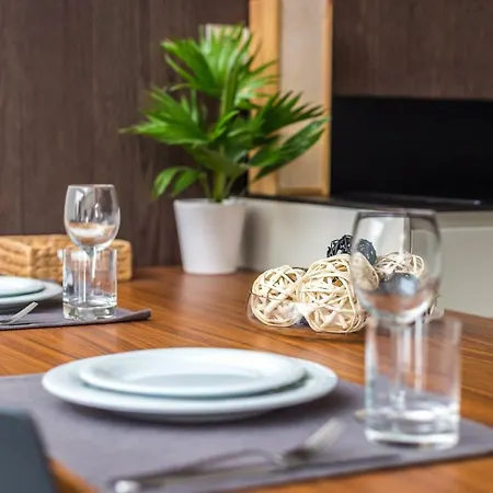 Apartment 4, Podoli Jeremenkova 410/14 *