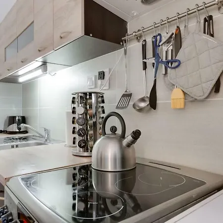 Beautiful Downtown 2bd With Netflix Apartment *