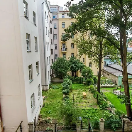 Great Apartment