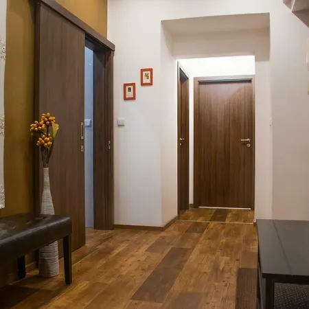Premyslovska - 2 Bathrooms Apartment Prague