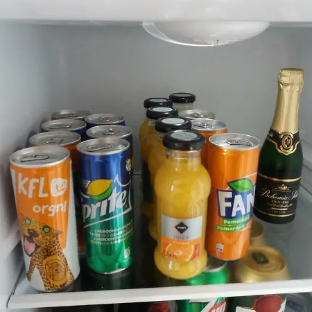H+ Apartman Letiště Praha