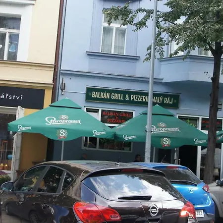 Apartment 7 Bubenecska *