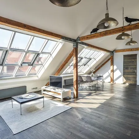 Designer Loft Apartment
