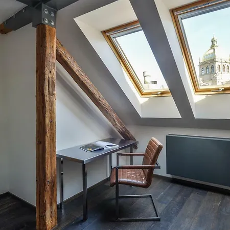 Apartment Designer Loft