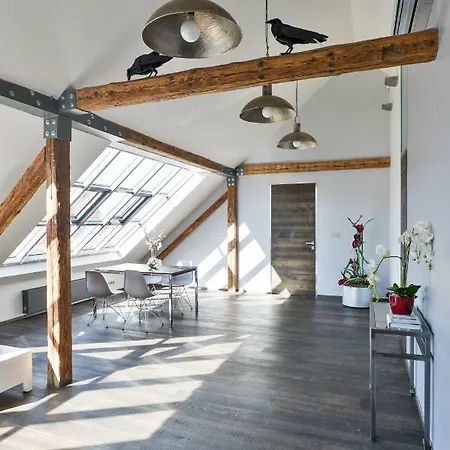 Apartment Designer Loft *