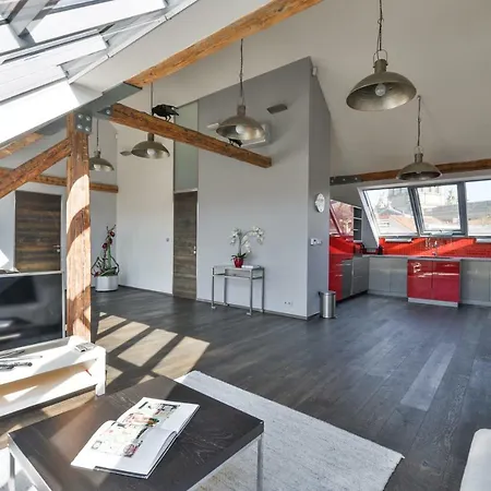 Designer Loft Apartment *