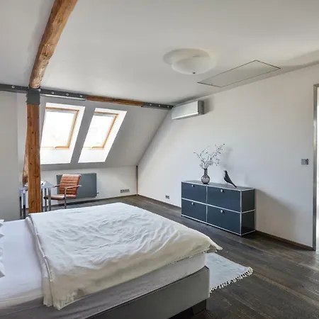 Apartment Designer Loft *