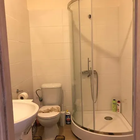 Apartment 7 Bubenecska