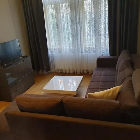 Americka 25, 2 Vinohrady Apartment Prague