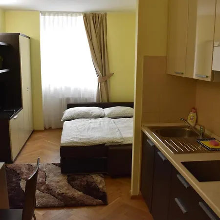 Apartment Vikroria - Halkova 5