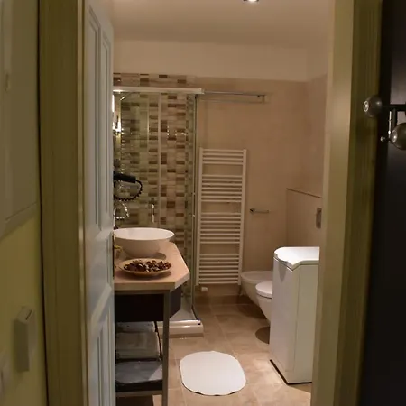 Vikroria - Halkova 5 Apartament *