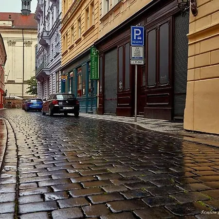 Near The Charles Bridge Apartment Prague