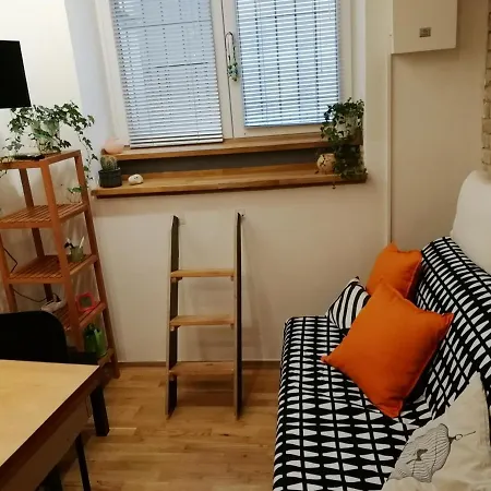 Cute Studio *