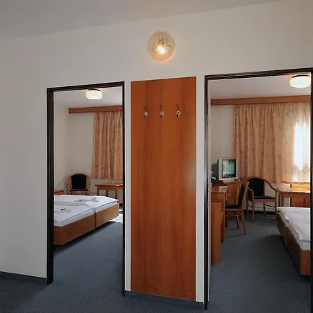 Congress & Wellness Olsanka Otel 4*