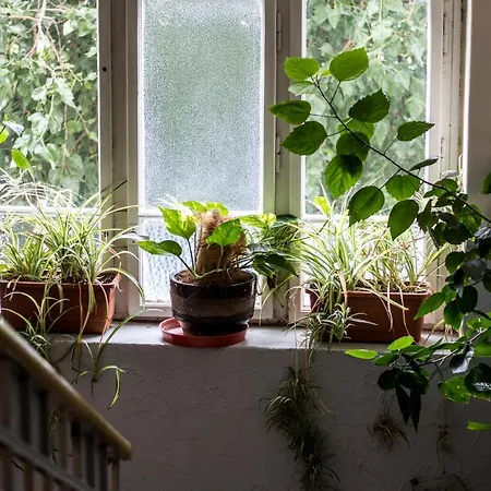 Dakura Hostel Praga